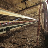 agricultural structures