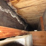 Damage caused by moisture intrusion